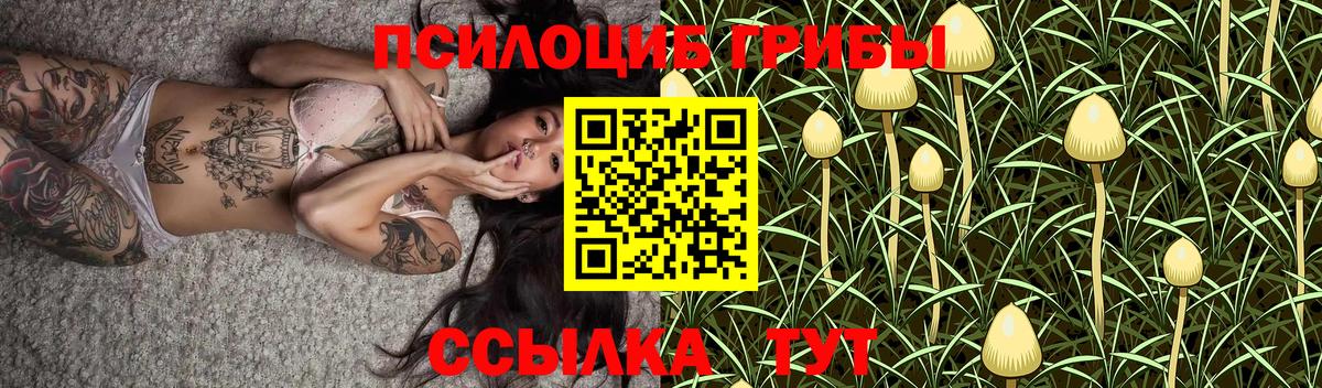 Углич  Галлюциногенные грибы мухоморы  Вход с VPN 